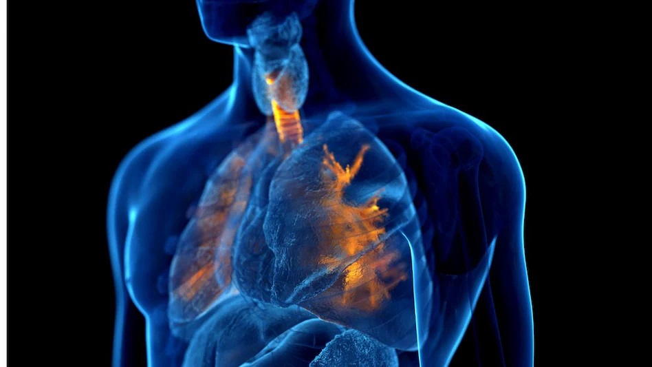 क्या है Chronic Obstructive Pulmonary Disease, जो बन सकती है मौत का कारण?