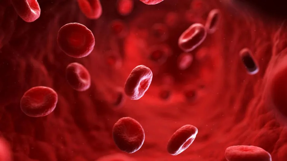 क्या आपके शरीर में भी कम हो रहीं Platelets? आपको इन संकेतों पर देना होगा ध्‍यान