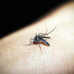 Covid-19 से ज्यादा है Dengue का दुष्प्रभाव , इतना खतरनाक हो सकता है सोचा भी नहीं होगा आपने