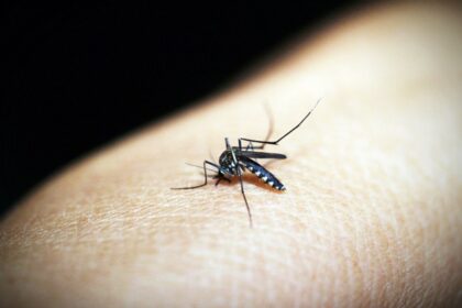 Covid-19 से ज्यादा है Dengue का दुष्प्रभाव , इतना खतरनाक हो सकता है सोचा भी नहीं होगा आपने