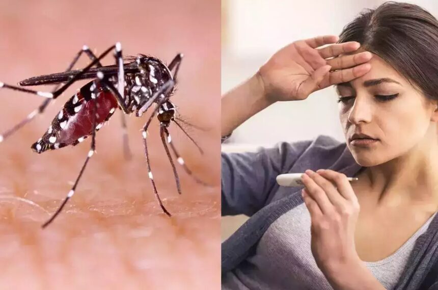 देश में बढ़ रहे Dengue और Malaria के केस, दोनों के लक्षण बिल्कुल एक जैसे; ऐसे पहचाने अंतर