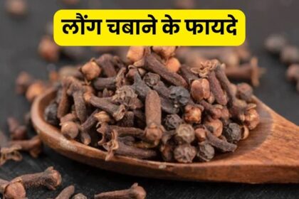 रोजाना खाएंगे एक लौंग तो मिलेंगे कई बेमिसाल फायदे | Benefits of Clove