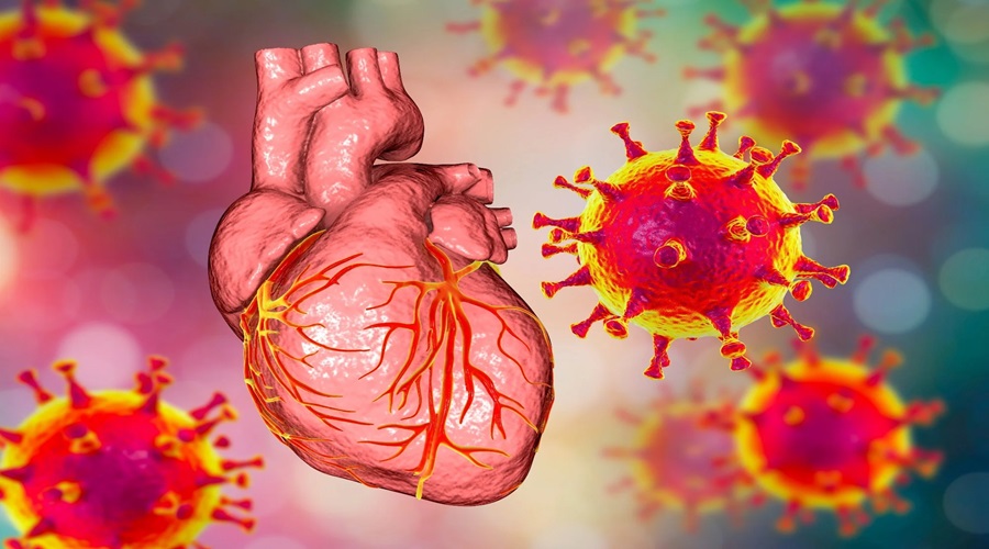 कोविड-19 से बढ़ा Heart Attack का खतरा, नए अध्‍ययन में हुआ डराने वाला खुलासा