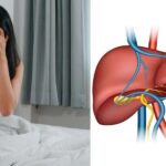 Liver Health: आपके लिवर को बर्बाद कर सकती हैं ये 5 गलतियां, आज ही हो जाएं अलर्ट 