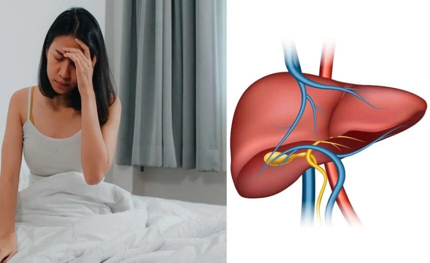 Liver Health: आपके लिवर को बर्बाद कर सकती हैं ये 5 गलतियां, आज ही हो जाएं अलर्ट 