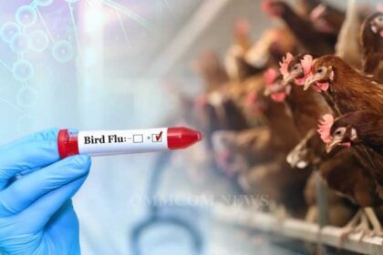 इंसानों में मिला Bird Flu का पहला मामला, जानिए इसके कारण और लक्षण