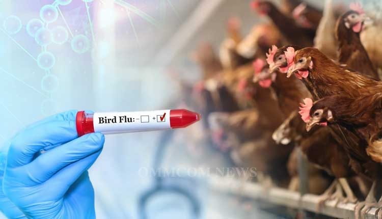 इंसानों में मिला Bird Flu का पहला मामला, जानिए इसके कारण और लक्षण