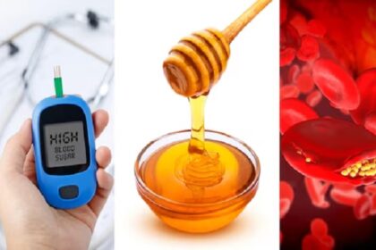 Honey में मिलाकर खा लें ये काली चीज, घट जाएगा Diabetes और Cholesterol