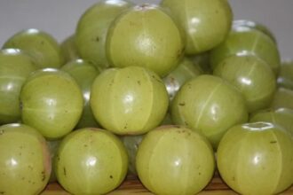 Amla Health Benefits: सेहत के लिए फायदेमंद है आंवला, जानिए क्या है खास