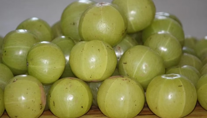 Amla Health Benefits: सेहत के लिए फायदेमंद है आंवला, जानिए क्या है खास