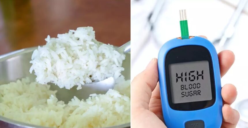 कौन से चावल खा सकते हैं Diabetes Patient, डॉक्टर से जानें कौन सा करता है नुकसान?  