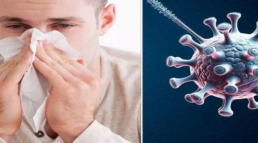 क्या सिर्फ सर्दियों में फैलता है HMPV? Doctor से जानें इस वायरस का पैटर्न