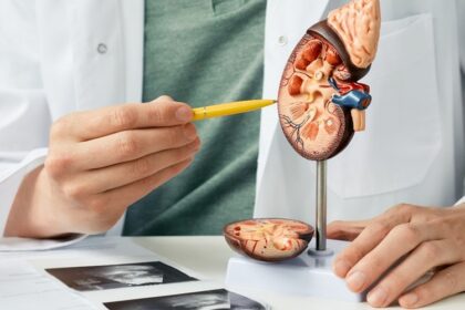 कहीं बिगड़ न जाए आपकी Kidney की सेहत, ऐसे रखेंगे ख्‍याल तो मिलेंगे फायदे