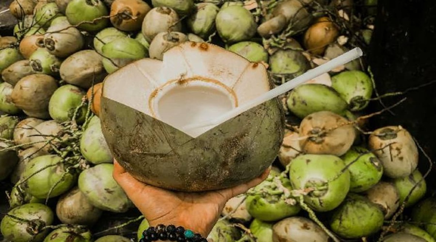 अगर आप भी पीते हैं नारियल पानी तो पहले पढ़ लें ये खबर, हो सकते हैं गंभीर नुकसान