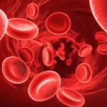 इन चीजों का सेवन पुरुषों में बढ़ा सकता है Hemoglobin स्तर