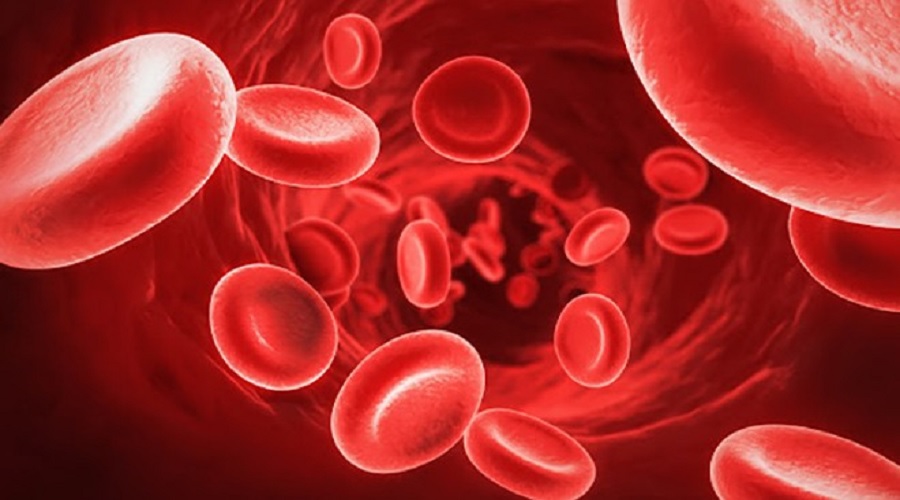इन चीजों का सेवन पुरुषों में बढ़ा सकता है Hemoglobin स्तर