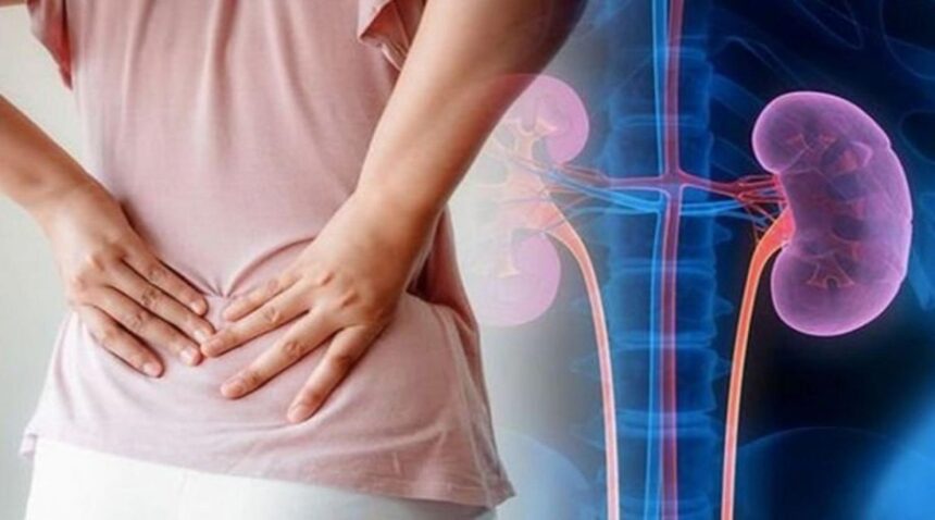 Kidney Infection होने पर दिखते हैं ये लक्षण, जानें कारण और बचने के उपाय