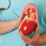 Kidney Disease: आपकी किडनी ख़राब कर देगी ये गलतियां, मत कीजिए ये नादानियां!