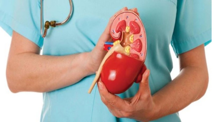 Kidney Disease: आपकी किडनी ख़राब कर देगी ये गलतियां, मत कीजिए ये नादानियां!