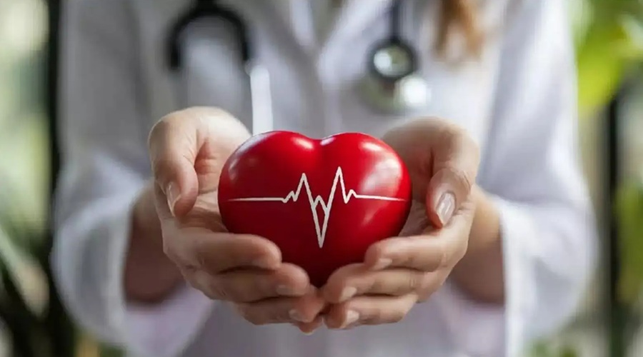 इस उपाय से खोल सकते हैं Heart Blockage, दिल की सेहत हो जाएगी ठीक