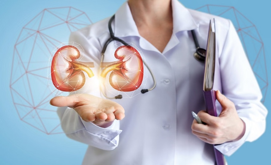 Kidney को हेल्दी रखना है तो डाइट से तुरंत करें बाहर ये चीजें, करती हैं काफी नुकसान