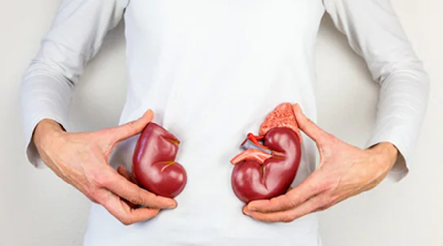 इस सस्ती चीज से करें Kidney को क्लीन, साफ हो जाएगा पूरा शरीर