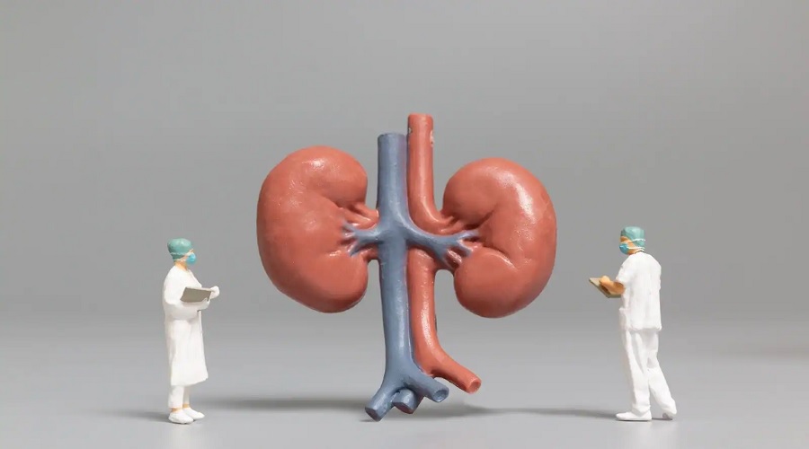 Kidney Transplant vs Dialysis, डॉक्‍टर से समझें कब पड़ती है किसकी जरूरत?