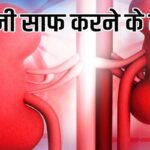 Kidney Care Tips: इन चार हेल्दी आदतों को दिनचर्या में करें शामिल, किडनी को डिटॉक्स करने में मिलेगी मदद