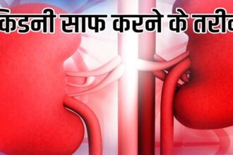 Kidney Care Tips: इन चार हेल्दी आदतों को दिनचर्या में करें शामिल, किडनी को डिटॉक्स करने में मिलेगी मदद