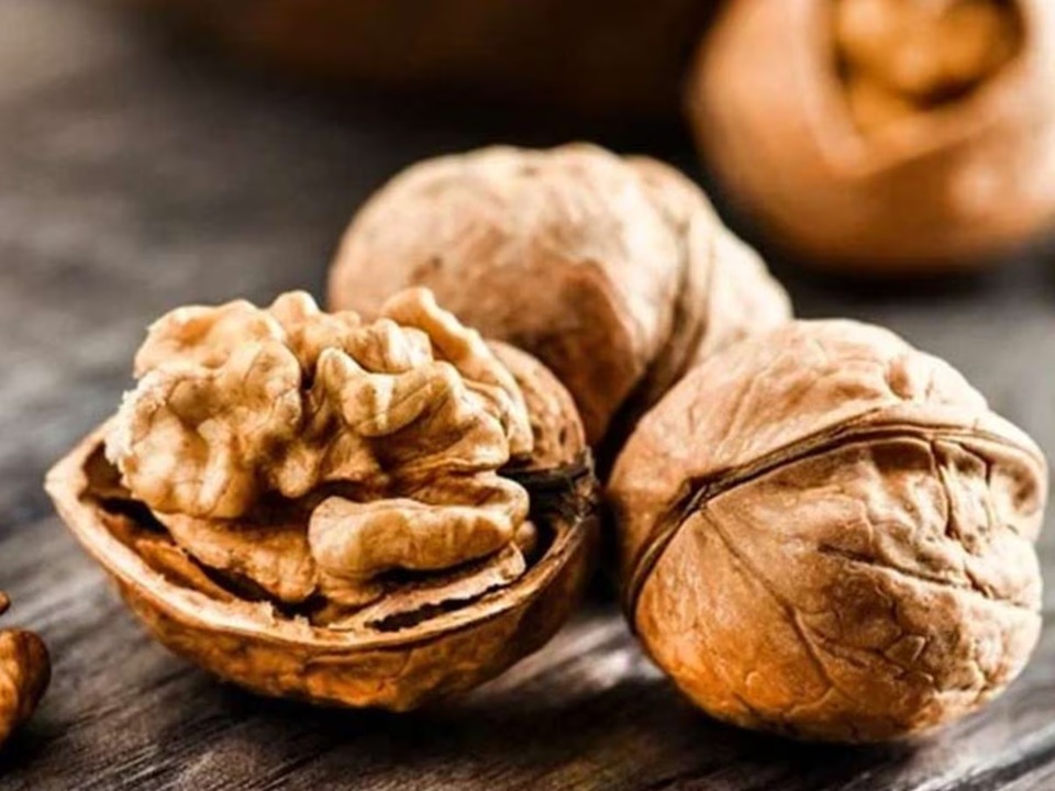 Walnut Benefits: दिमाग जैसा शेप है इसका, रोजाना इसको खाने से आप बन जायेंगे सुपर जीनियस