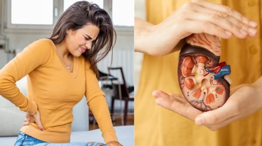 Kidney में सूजन होने पर शरीर में दिखाई देने लगे हैं ये लक्षण, हो जाएं सावधान!
