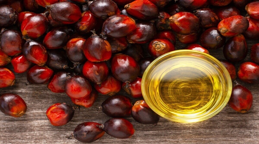 कितना खतरनाक है Palm Oil, खाने से होते हैं कई नुकसान और बीमारियां?