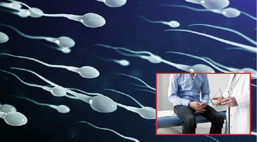 Good News: अब लैब में तैयार होंगे स्पर्म, नि:संतान पुरुष भी ले पाएंगे पिता बनने का सुख!