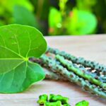 How to Use Giloy: इसके इस्तेमाल से निखर जाएगा आपका चेहरा, जानें इसके फायदे और उपयोग का तरीका
