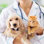 जानवरों में कैसे फैलती है Zoonoses Disease, इन बीमारियों का होता है खतरा?