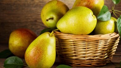 सावन में जरूर खानी चाहिए नाशपाती, सबसे ज्यादा पाया जाता है ये Vitamin