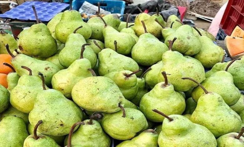बाबूगोशा खाने से मिलते हैं कई फायदे, इस रसीले फल में पाया जाता है ये वाला विटामिन
