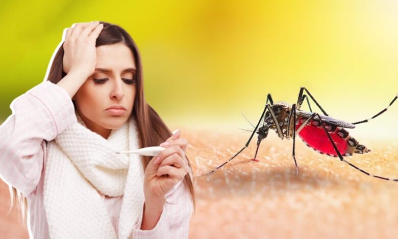 Dengue है या नहीं, इन लक्षणों को मामूली वायरल समझने की गलती न करें