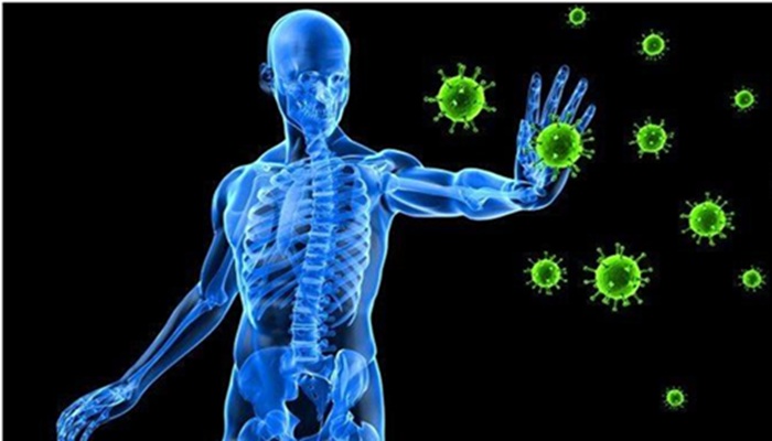 कमजोर Immunity से हैं परेशान? डाइट में शामिल करें ये चीजें और पायें समाधान
