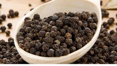 Health Tips: काली मिर्च एक , फायदे अनेक, जानिए इसकी गुणों के बारे में