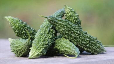 Bitter Gourd Benefit: स्वाद में है कड़वा, इसके बावजूद सेहत के लिए फायदेमंद है करेला
