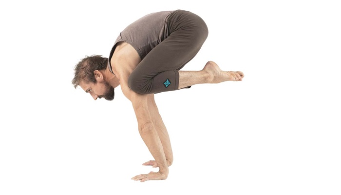 Kukkutasana: इस योग आसन से अपने शरीर को करें मजबूत, जिंदगी जिएंगे भरपूर