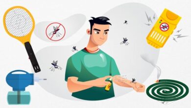 Chemical Poison: मच्छर भगाने की दवा से लेकर किन-किन चीजों से जिंदगी में घुल रहा ज़हर, बचाव भी जानें?