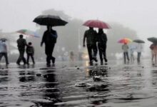 Monsoon Special: जरा सी लापरवाही और सीधा अस्पताल का सफर! बचना है तो इनसे रहो दूर