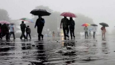 Monsoon Special: जरा सी लापरवाही और सीधा अस्पताल का सफर! बचना है तो इनसे रहो दूर