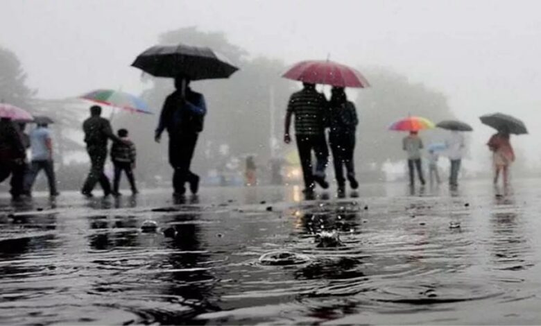 Monsoon Special: जरा सी लापरवाही और सीधा अस्पताल का सफर! बचना है तो इनसे रहो दूर