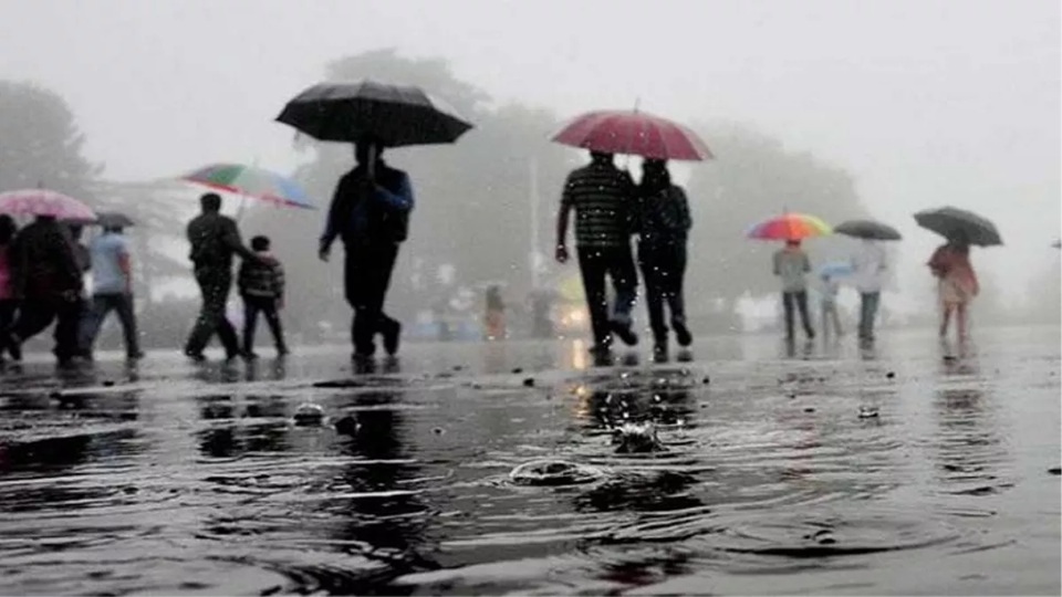 Fruits in Rainy Season: बारिश में इन फलों को डाइट में करें शामिल, सब कुछ रहेगा बेहतर