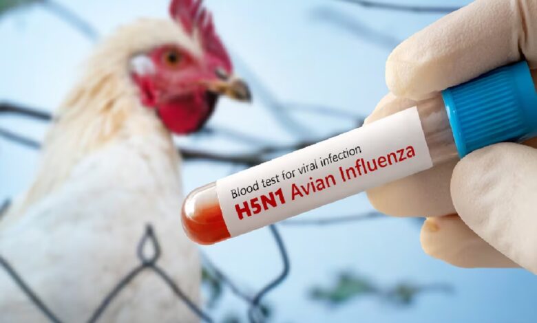 Bird Flu in UP: सीएम के निर्देश- प्राणी उद्यानों में कड़ी निगरानी एवं सतर्कता बरती जाए