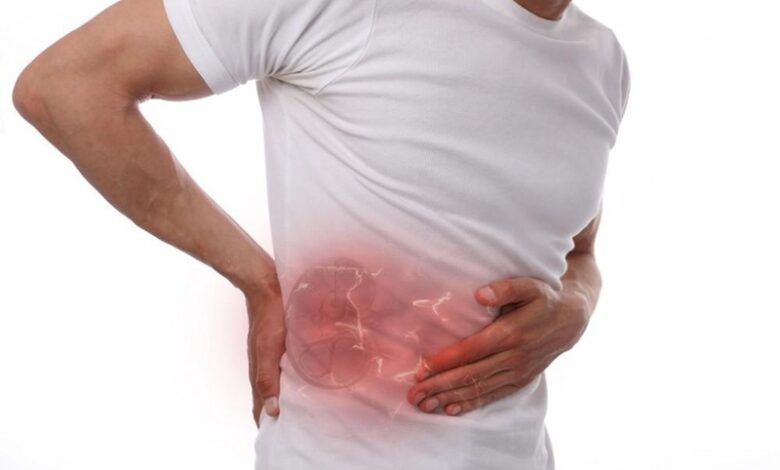 Kidney Stone: किडनी स्टोन के खतरे को बढ़ाती हैं ये चार चीजें, ऐसे करें बचाव