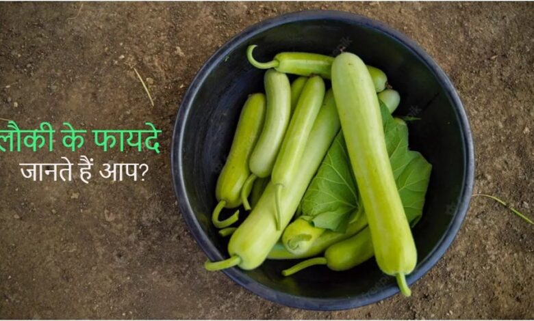 Bottle Gourd: लौकी खाने से कौन सी बीमारी दूर होती है, जानिए और खाना शुरू कीजिए